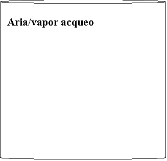 Cilindro:  Aria/vapor acqueo
